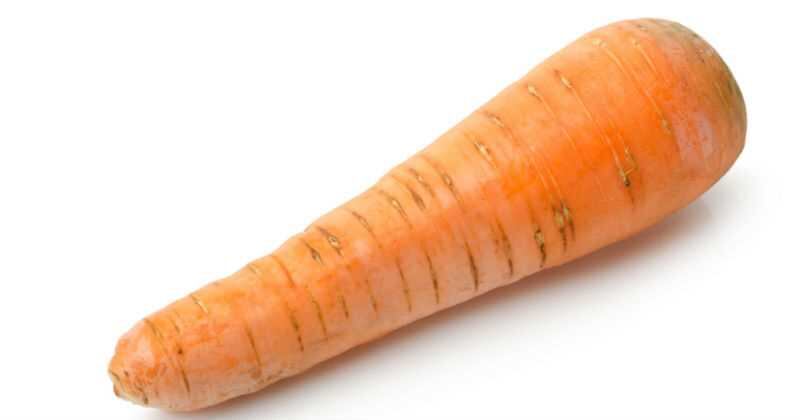 Las zanahorias tiene grandes beneficios para la salud. 