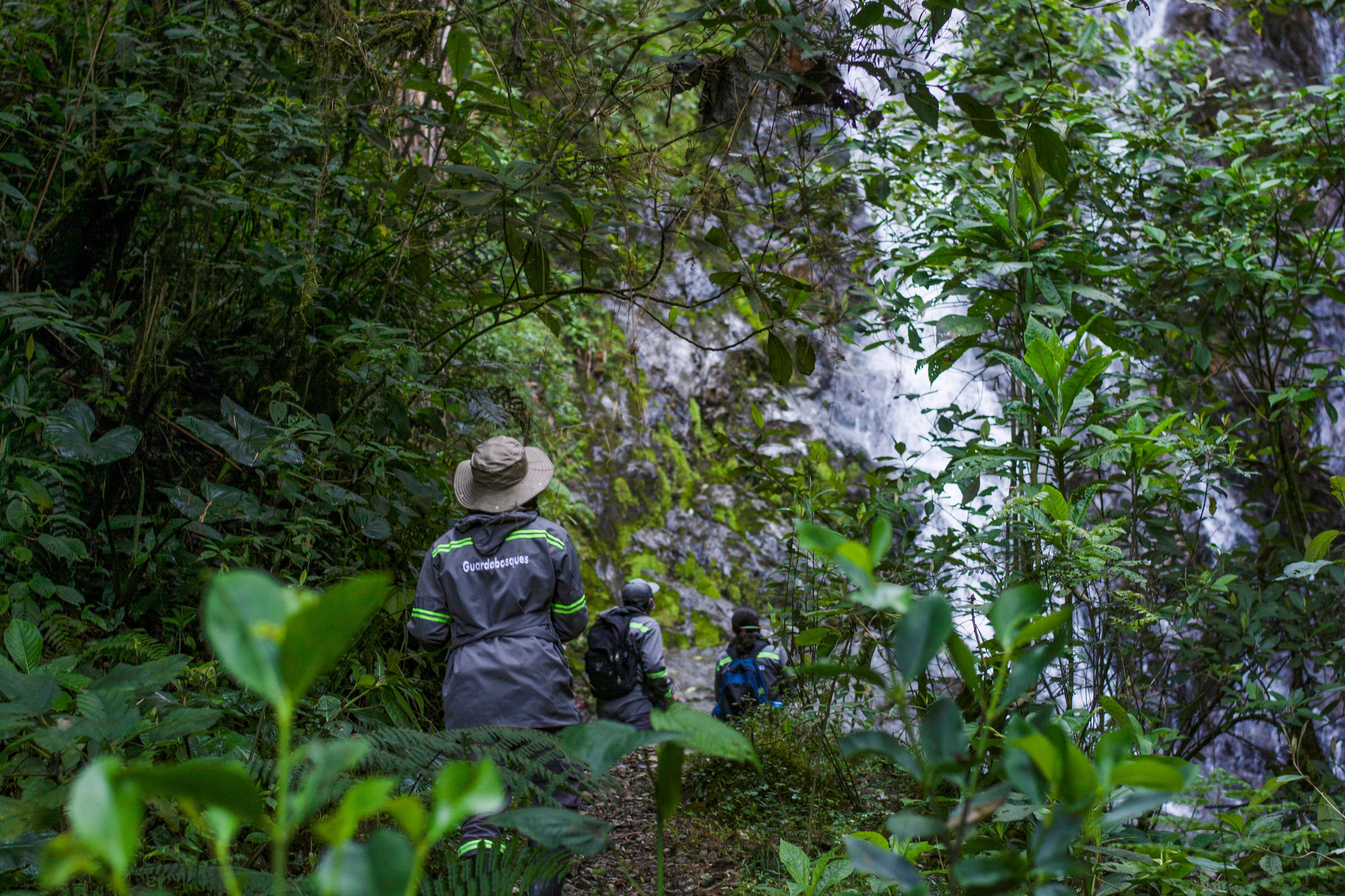 Reserva forestal Alto de San Miguel.