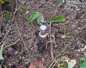 Imagen de referencia de mina antipersonal que causó la muerte de indígena.