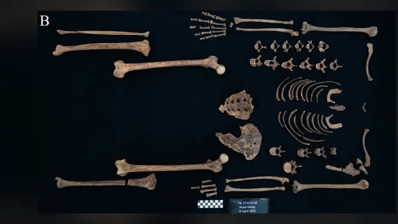 Los cráneos de Noub-Hotep y las demás princesas se perdieron a principios del siglo XX, aunque el resto del esqueleto permaneció intacto.