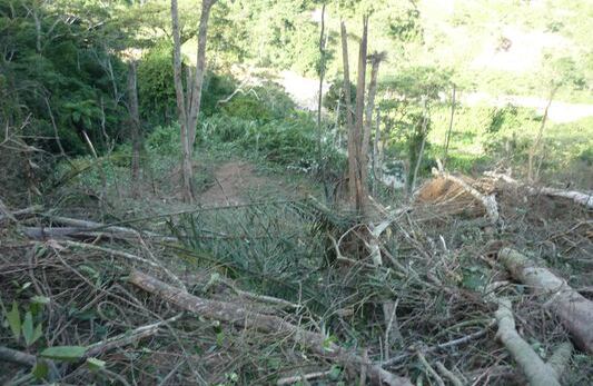 Alias 'Danilo' no calculó que la fuerza de los bombardeos haría ceder la montaña.