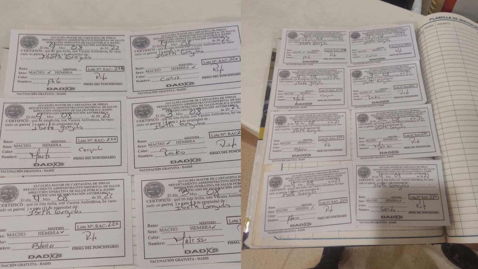 Minuta de vacunas de perritos callejeros en el centro comercial Mall Plaza en Cartagena.