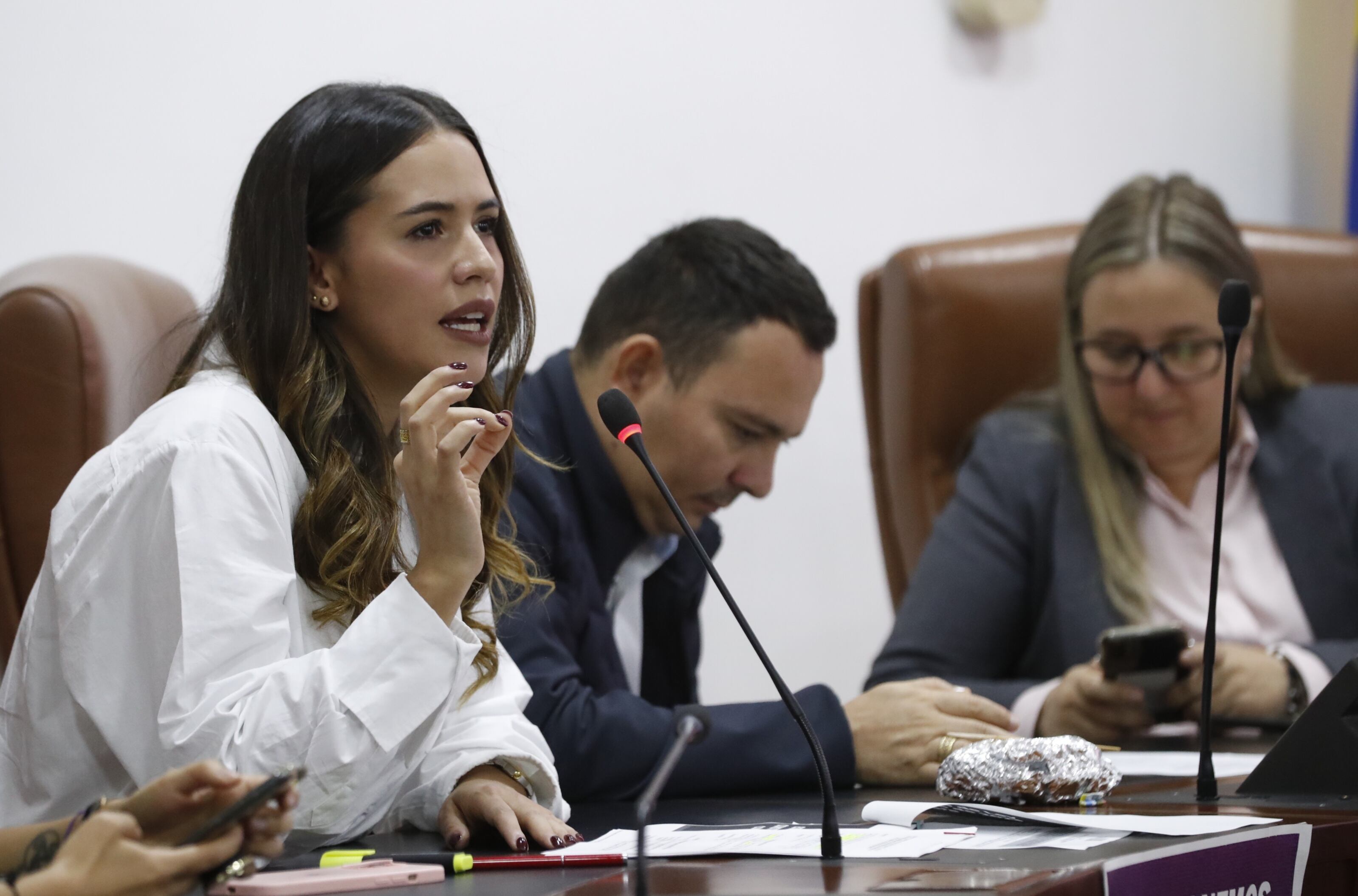 Debate Dignifiquemos el trabajo del hogar