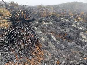 Así quedó el páramo.