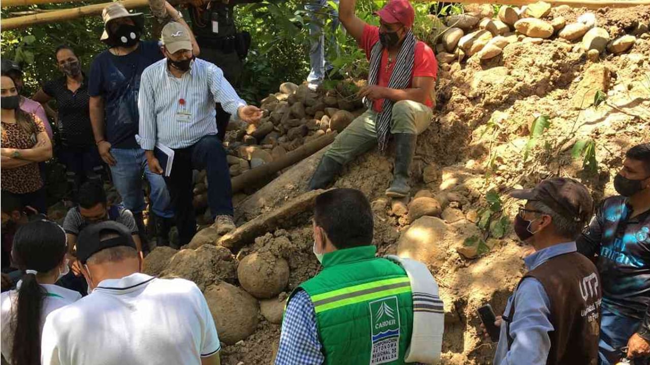 Funcionarios de la Corporación Autónoma Regional de Risaralda encontraron los restos del mastodonte. Foto: Carder