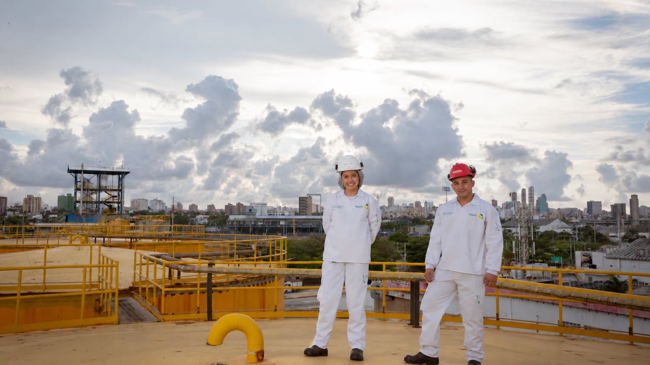 Alianza Team desarrolla soluciones basadas en lípidos y nutrición para la industria de alimentos.