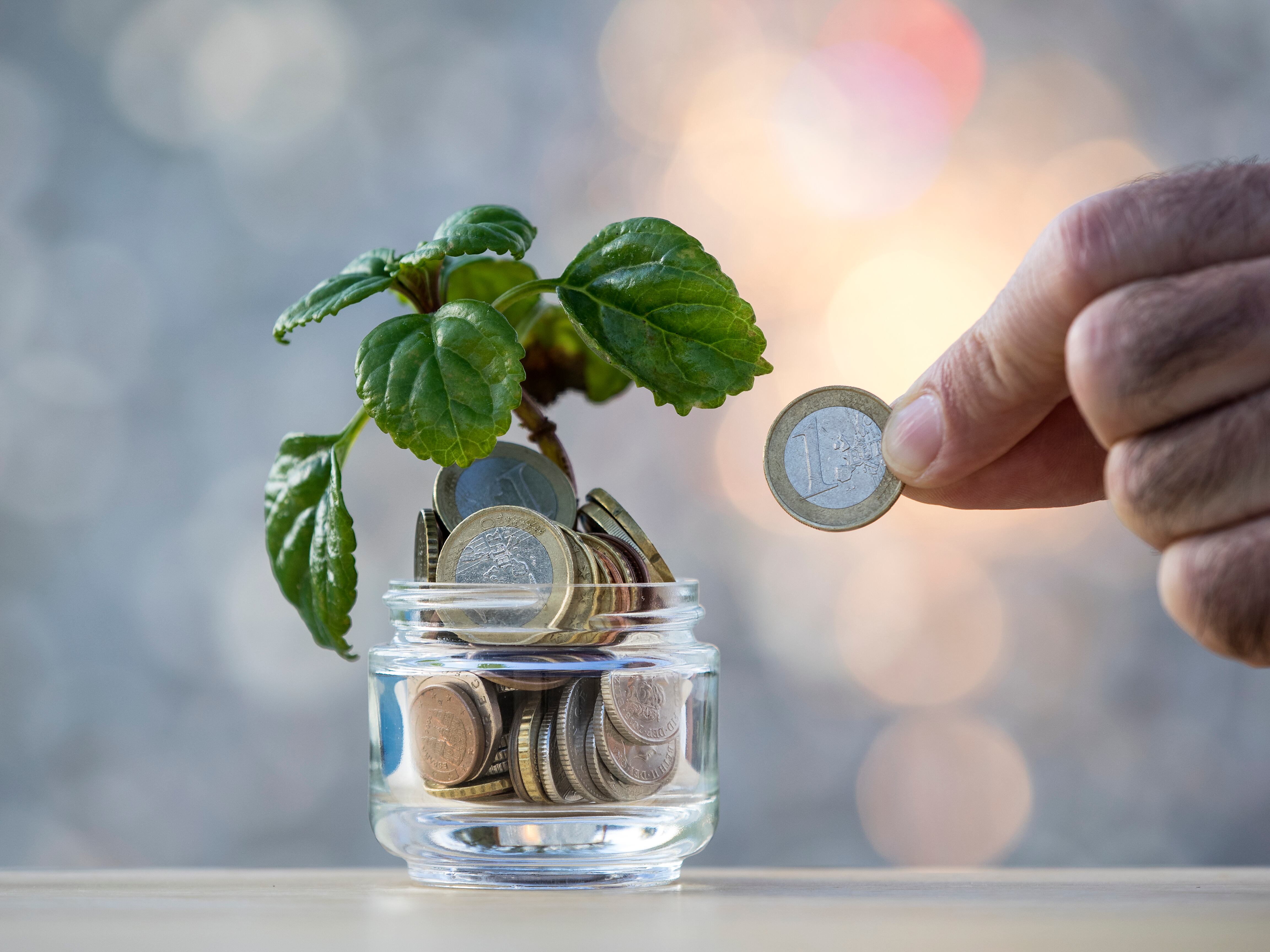 riqueza y prosperidad