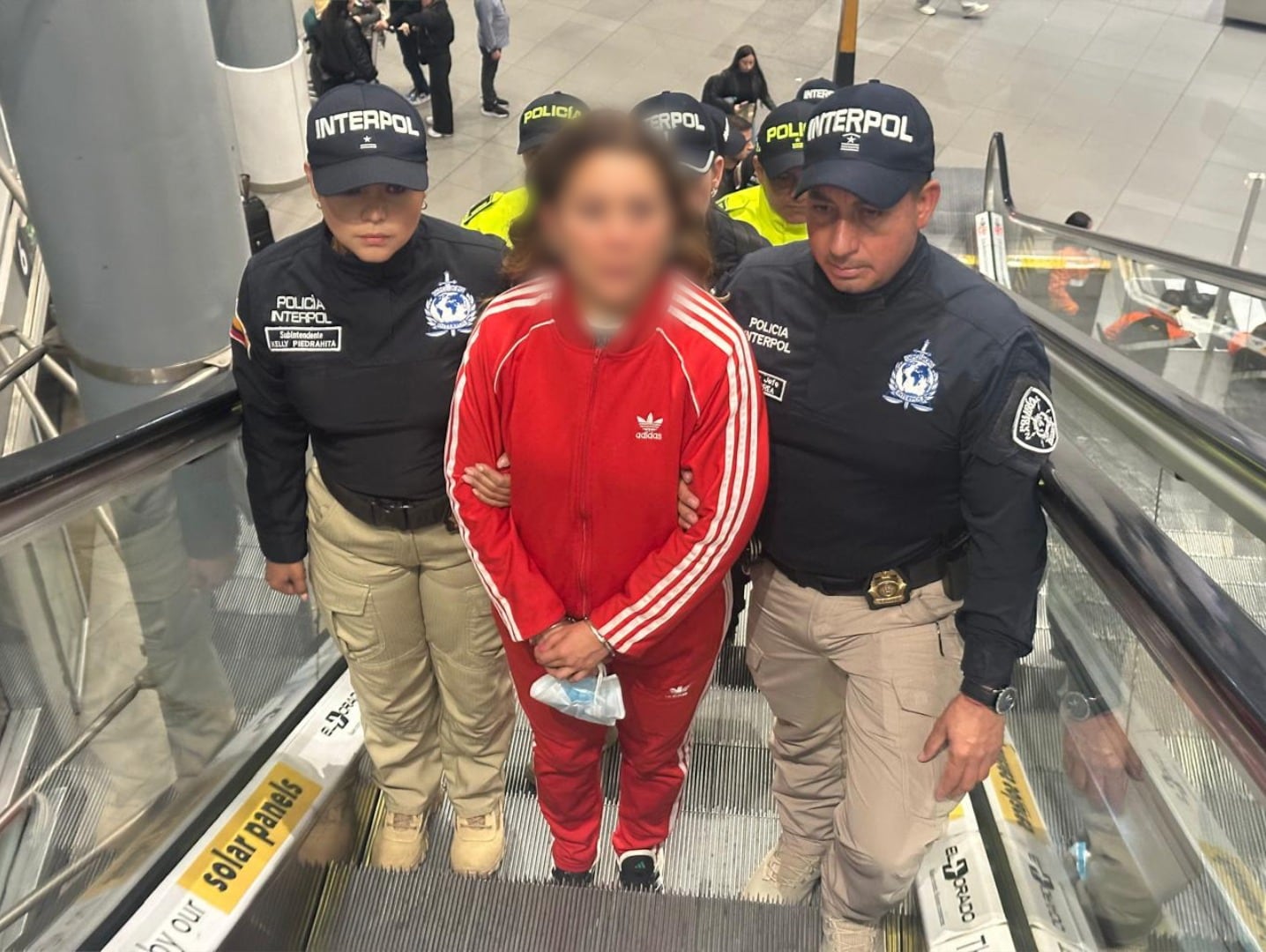 Interpol con presunta testaferro del ELN capturada en Argentina.