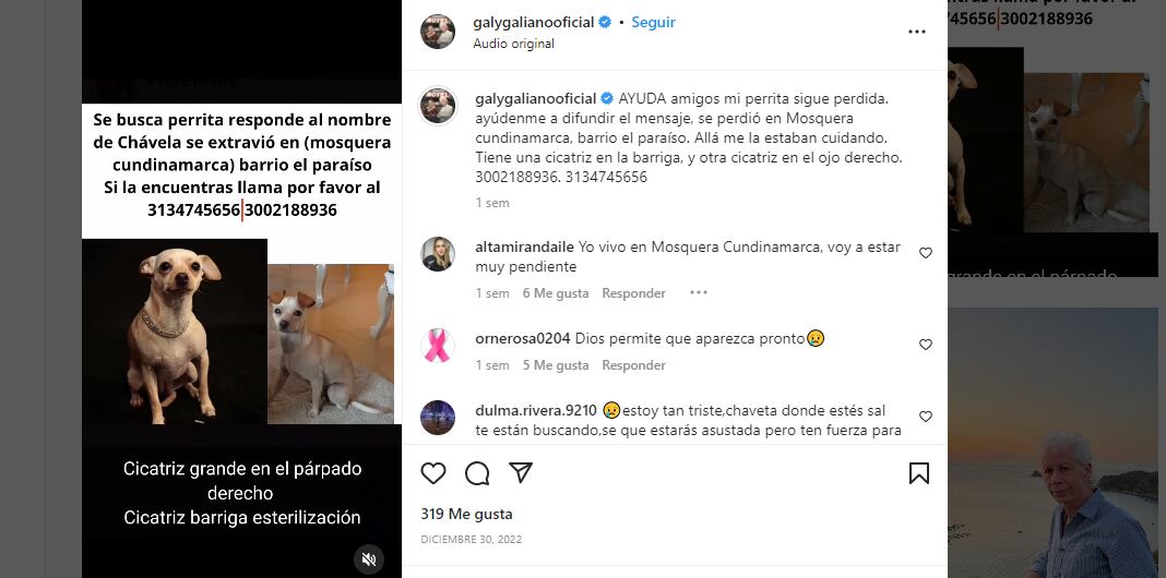 recompensa que ofrece Galy Galiano por recuperar su pequeña perra "Chavela"