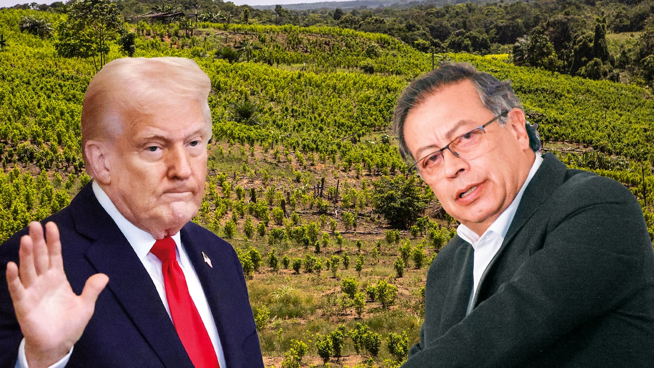 La amenaza de la descertificación