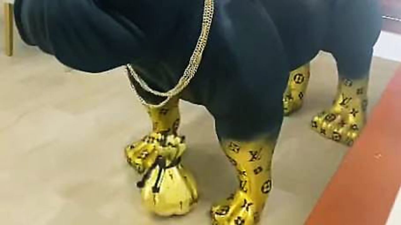 La estatua de un perro con enchapes de oro en la casa de un señalado narcotraficante por la Policía.