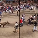 El toro fue tomado por la cola, antes de ser asesinado