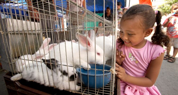 Agroexpo es la reunión de visitantes, empresarios, ganaderos y agricultores.