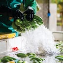 En los departamentos de La Guajira, Magdalena y Antioquia hay 51.000 hectáreas sembradas de banano, de las que dependen 150.000 empleos formales.