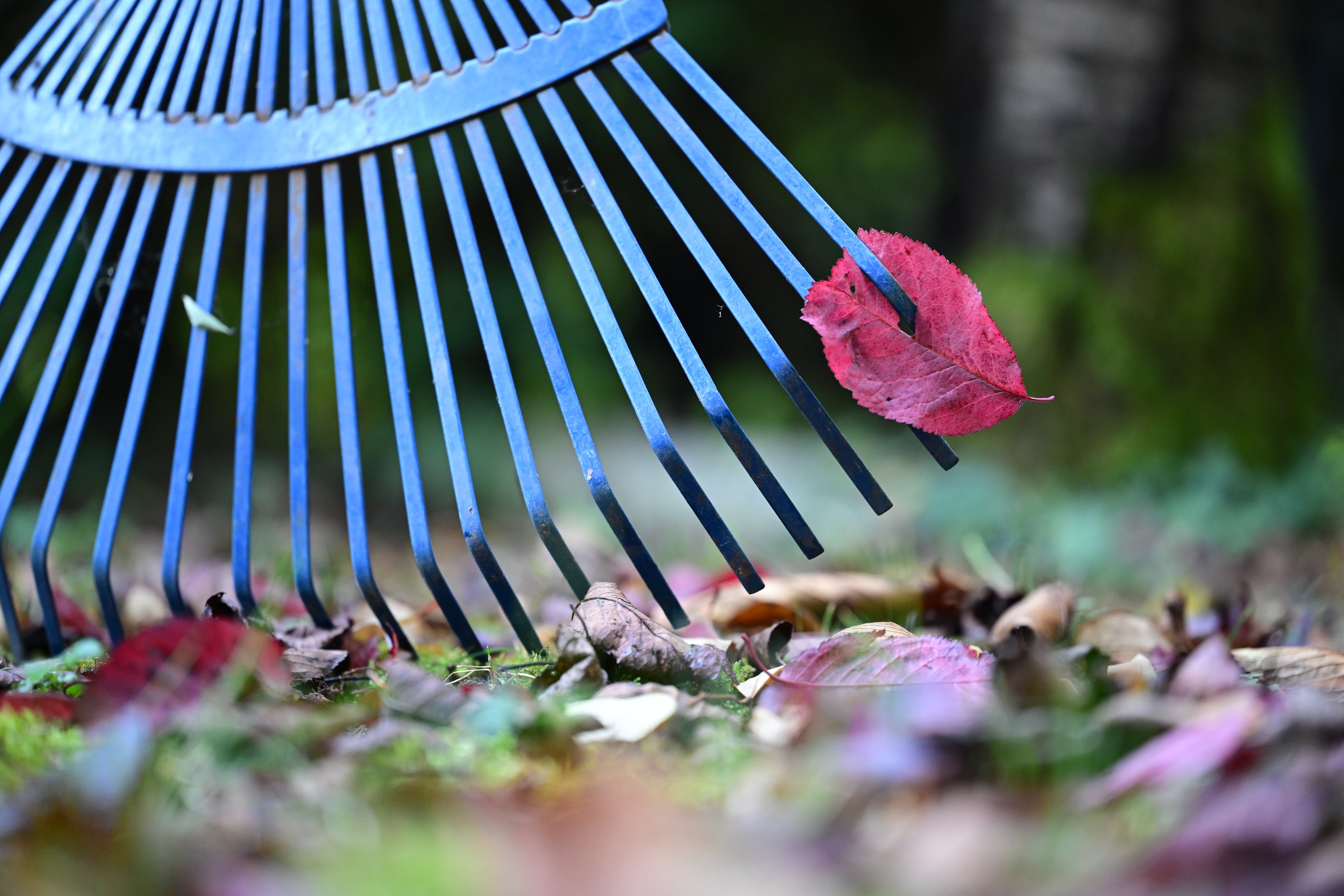 Rastrillo para airear la tierra