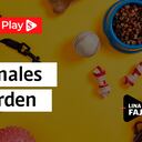 Animales en orden | Lina Fajardo en La Magia del Orden