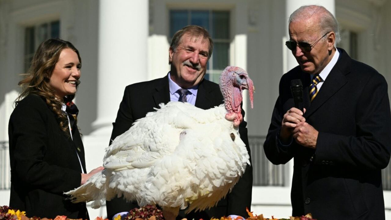 El presidente Joe Biden, como es tradición, le dio el indulto a dos pavos para no ser cocinados en el día de Acción de Gracias