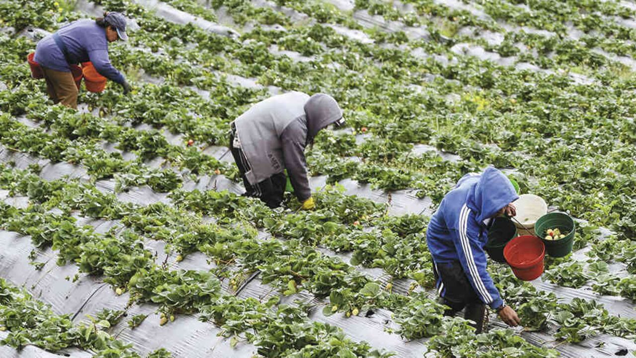 América Latina aumentará sus ventas de alimentos 25% en 2028.