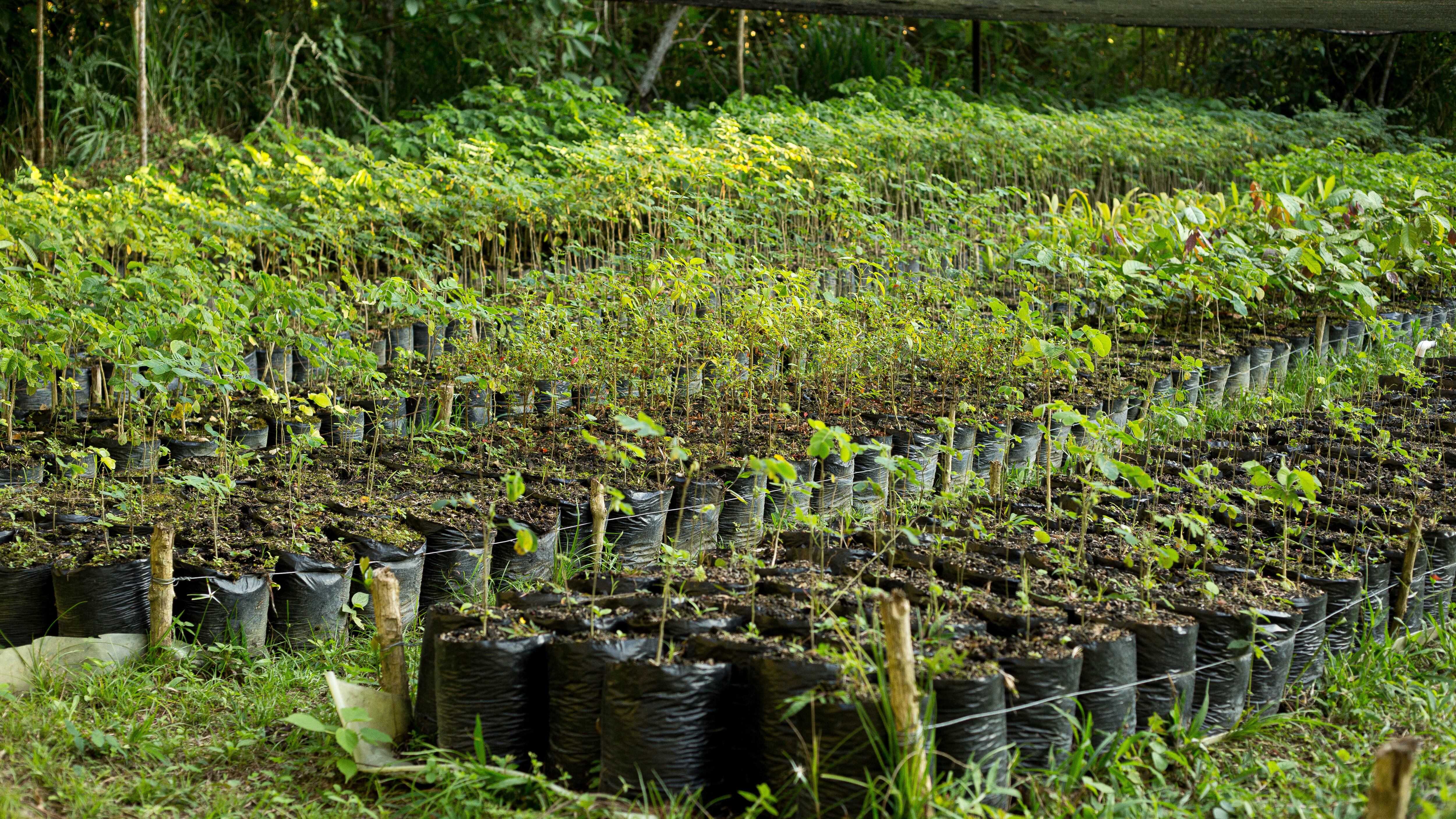 Empresas que construyen país - Contenido Amarilo