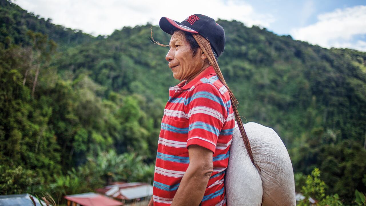 En El Charco, Nariño, más de 150 familias campesinas, afrocolombianas e indígenas de la etnia eperãra siapidaarã buscan reactivar los mercados locales por medio de la sustitución de cultivos de uso ilícito.
