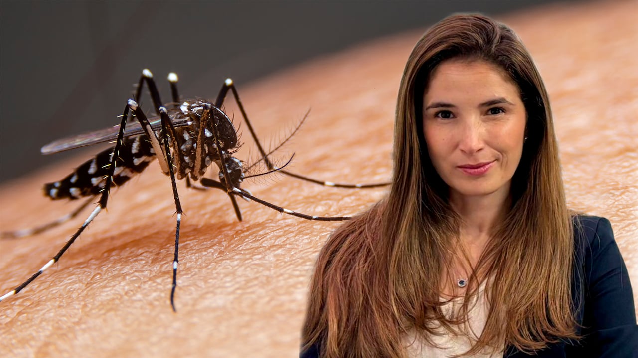 Ana Cristina Ochoa, directora médica de Takeda, la farmacéutica que produce la vacuna contra el dengue, advierte los riesgos en el contagio.