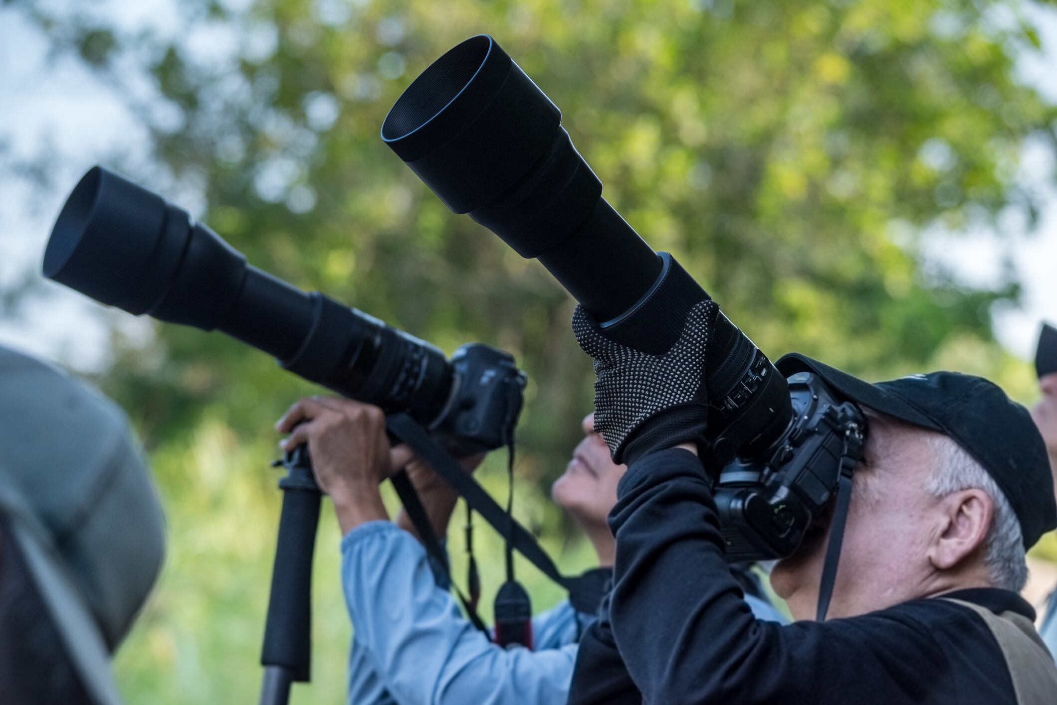 Avistamiento de aves