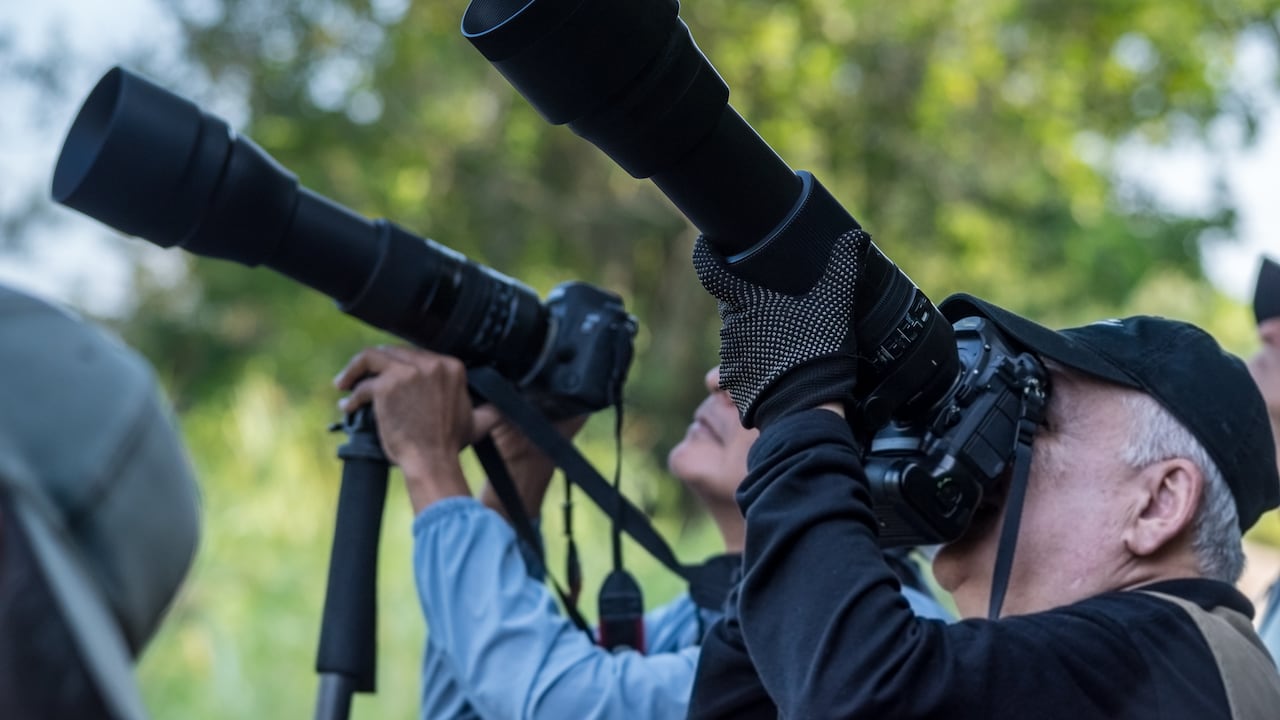 En Colombia hay diferentes lugares en los que se puede hacer avistamiento de aves.