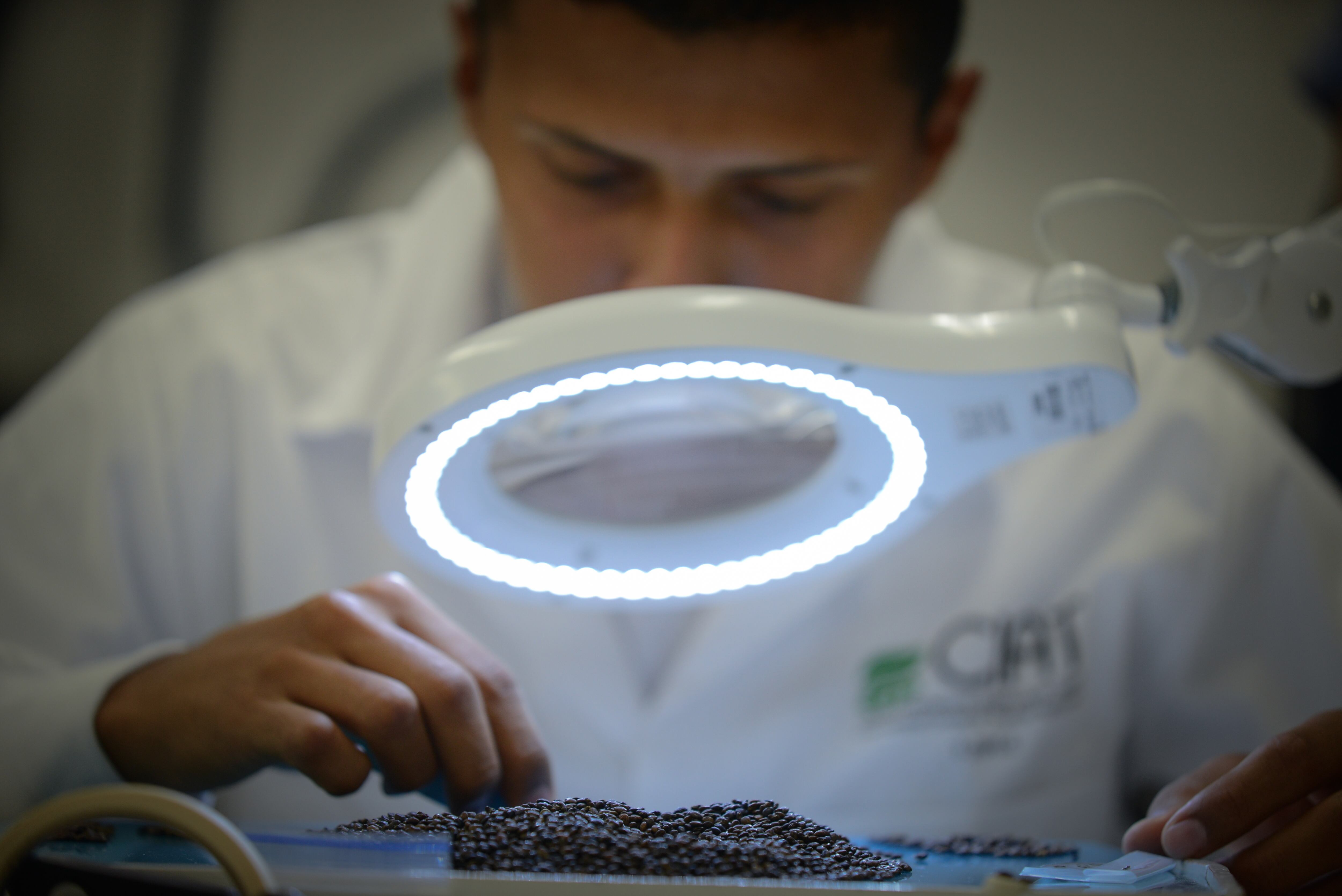 El Centro Internacional de Agricultura Tropical, es un centro de investigación que forma parte del Sistema CGIAR. El CIAT es una organización que realiza investigación colaborativa para mejorar la productividad agrícola y el manejo de los recursos naturales en países tropicales y en vía de desarrollo.