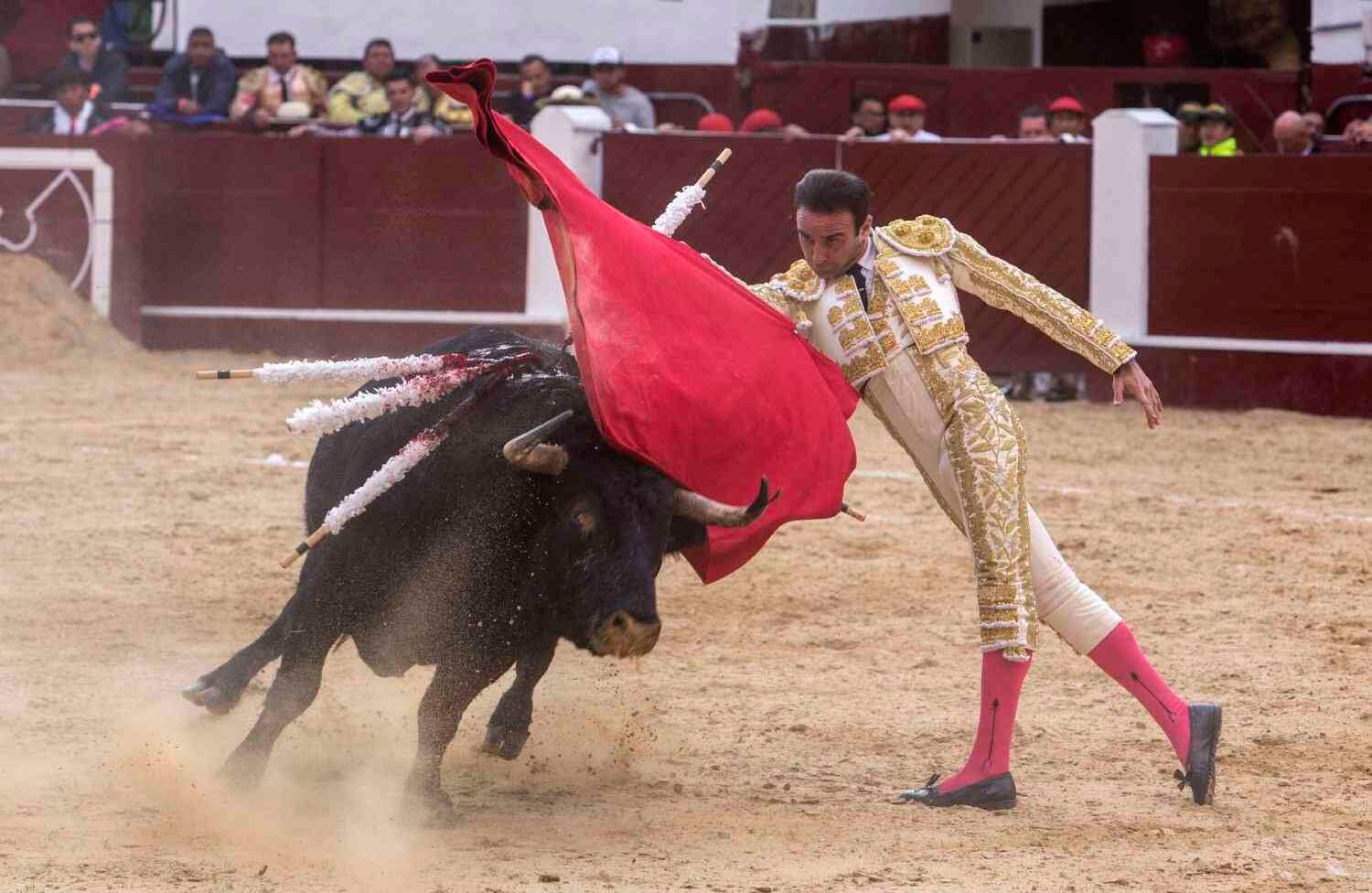 Foto: Juan Carlos Sierra