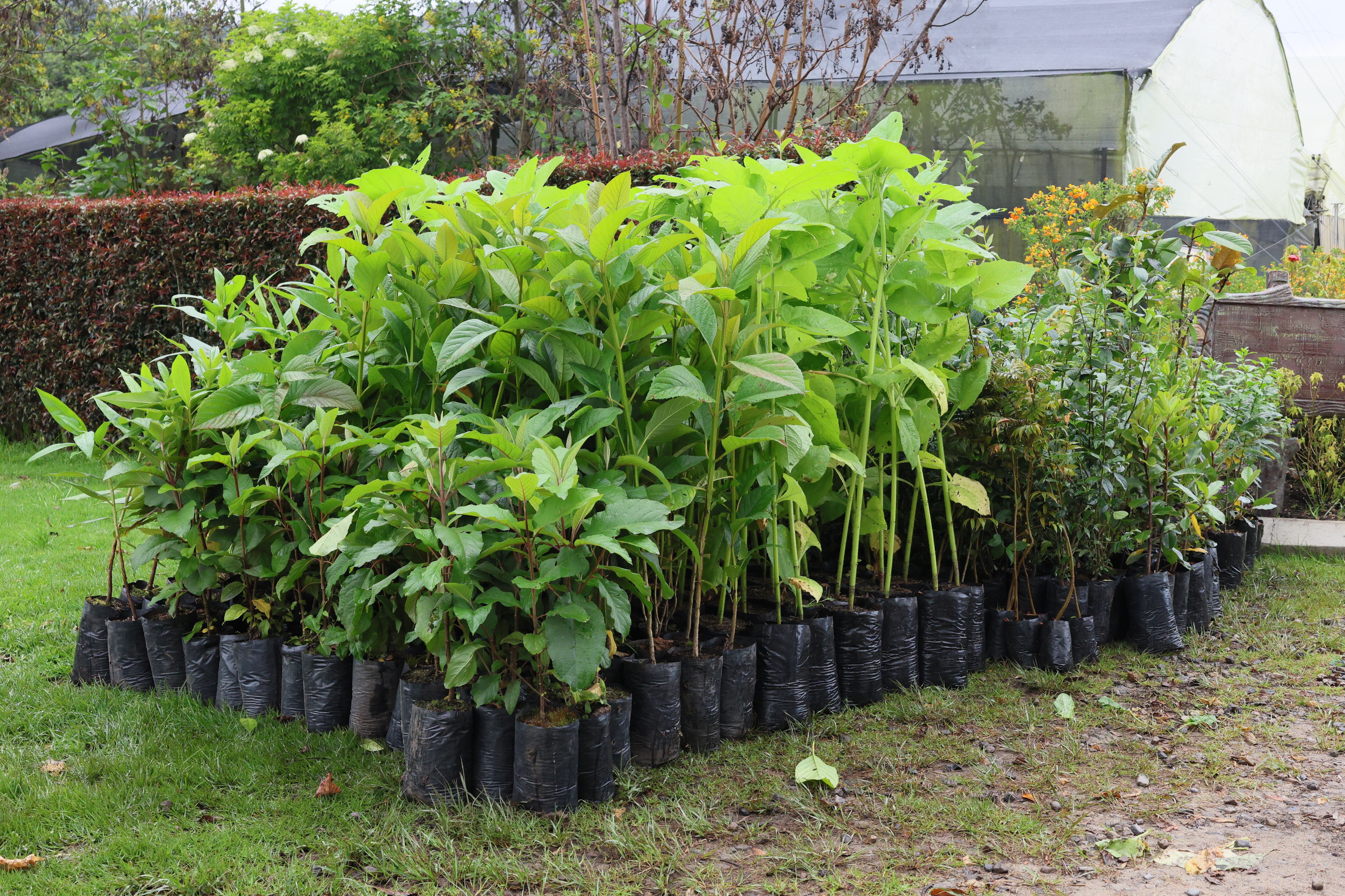 Fundación Parque Jaime Duque