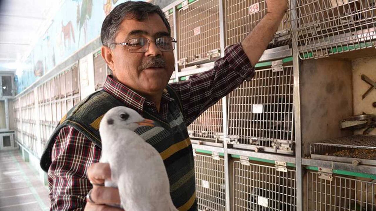 El Doctor Bhat dice que aprendió mucho con el trabajo, tratando algunos pacientes difíciles y carismáticos.