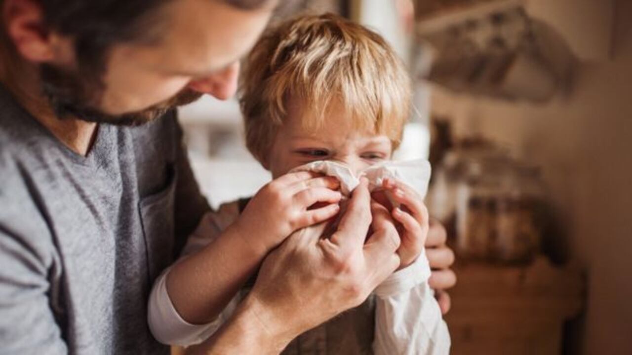 El virus de la gripe es uno de los más comunes en el mundo.