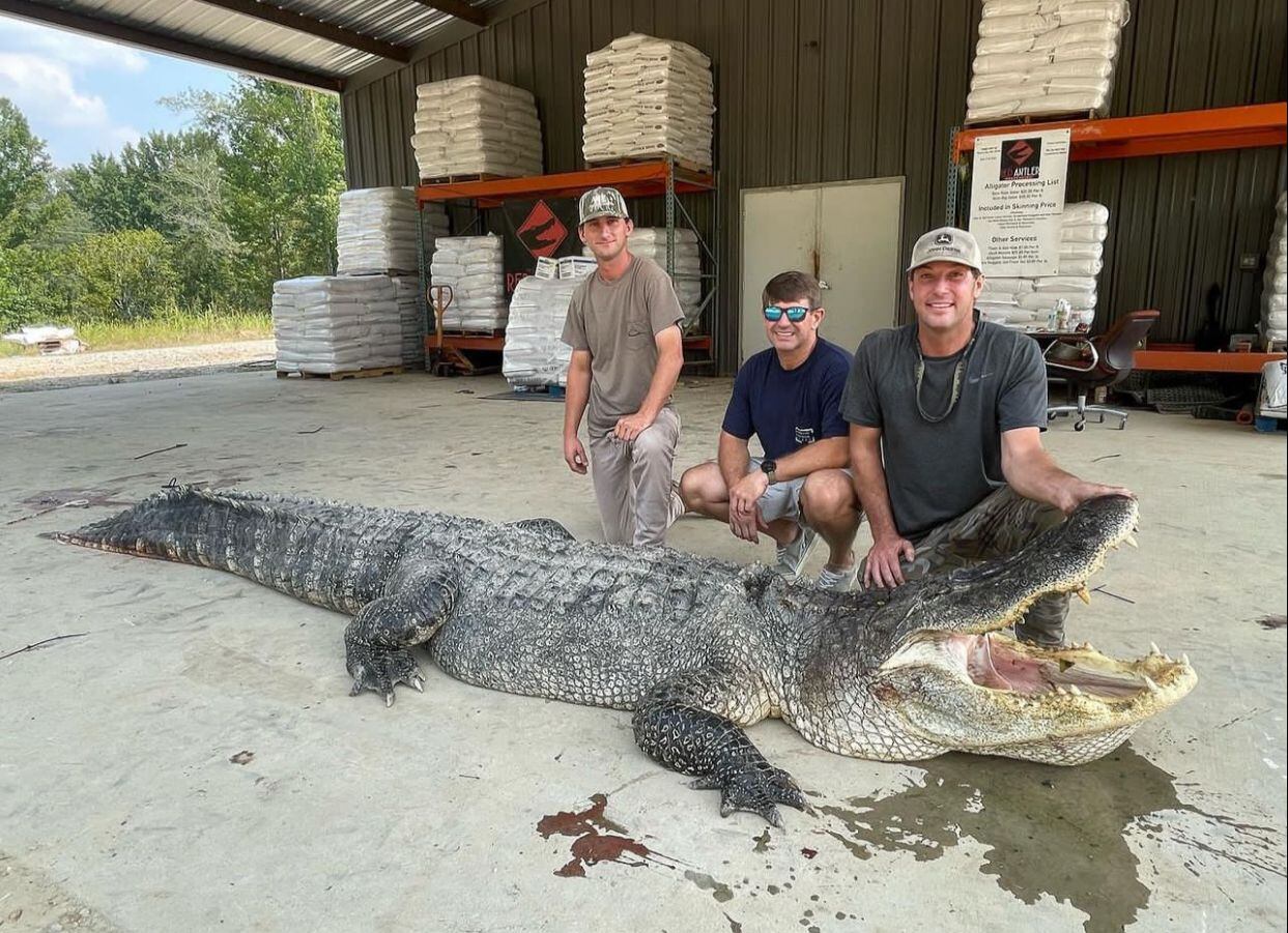El enorme animal rompió el récord por su enorme tamaño