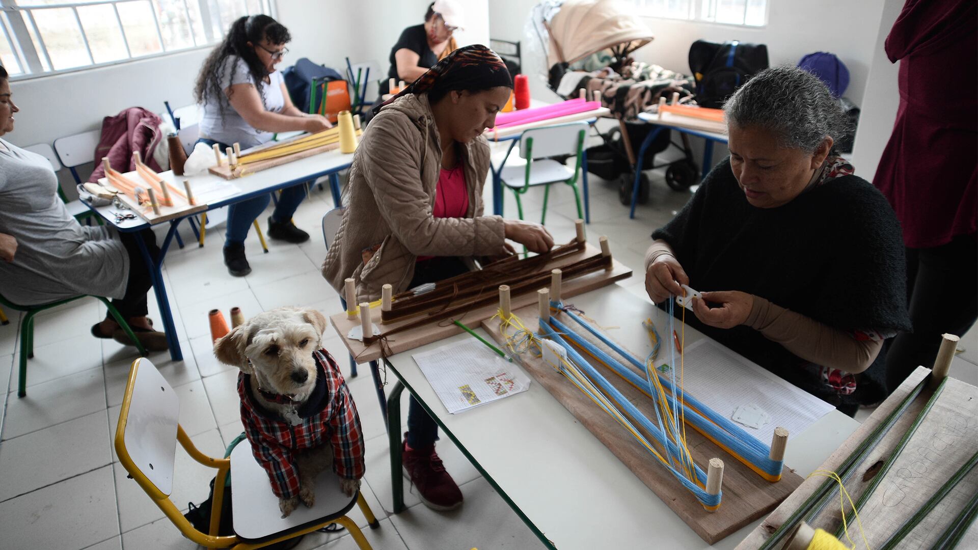 NO USAR, USO EXCLUSIVO MEJOR COLOMBIA, Especial Seguros, Introducción