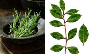 Bañarse con romero y laurel.