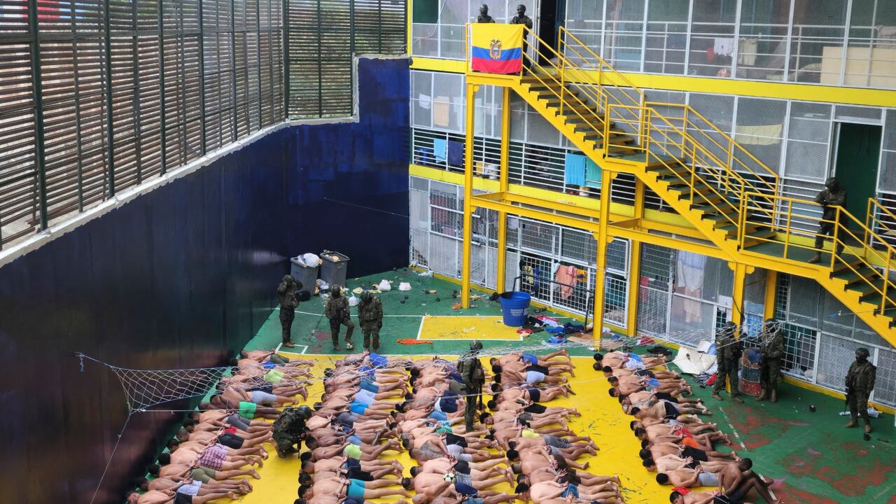 "Es un éxito importantísimo que podamos, con tanta rapidez, y habiendo entrado esta familia el día 5, haberlos deportado del país hoy", dijo Bullrich.