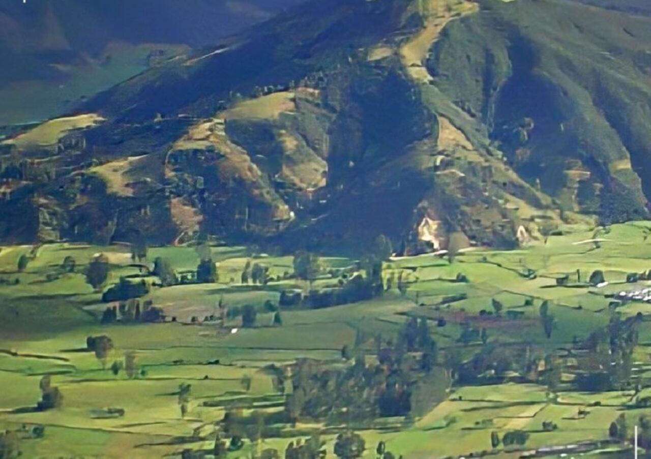 Floresta Boyacá