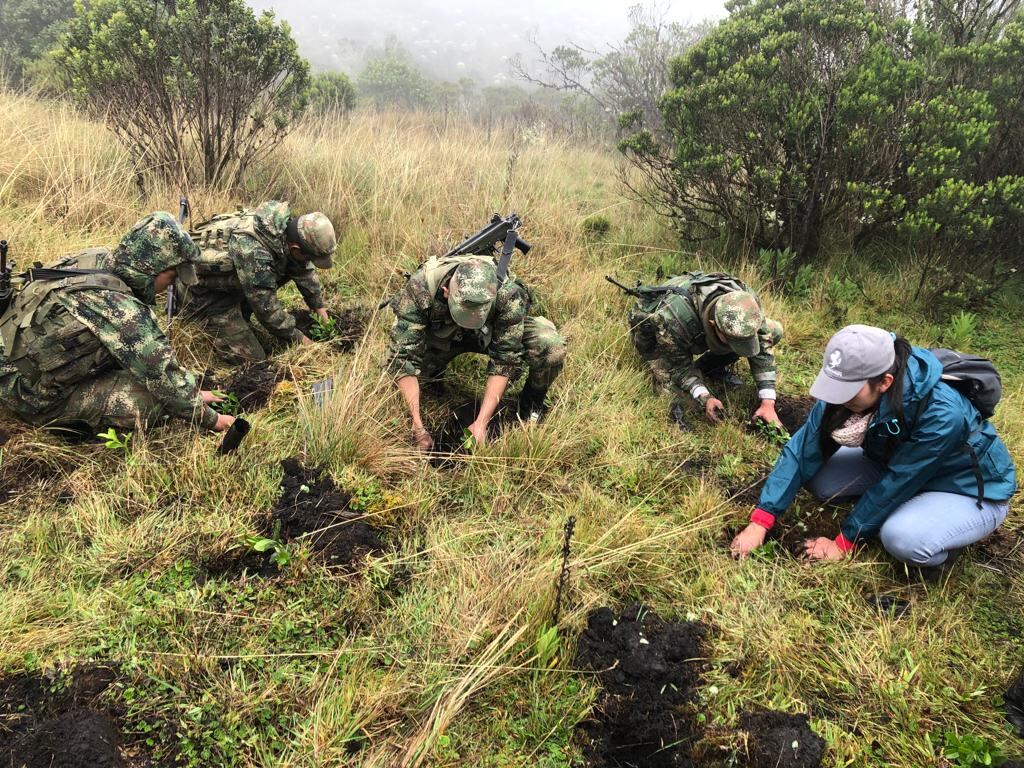 La siembra de arboles se dio en Boyacá