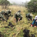 La siembra de arboles se dio en Boyacá