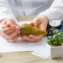 El páncreas es la glándulas que se encarga de producir hormonas como la insulina.