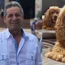 Darío Gómez llamaba a sus mascotas 'Chachurritos'. Fotos: Instagram @elreydeldespecho.