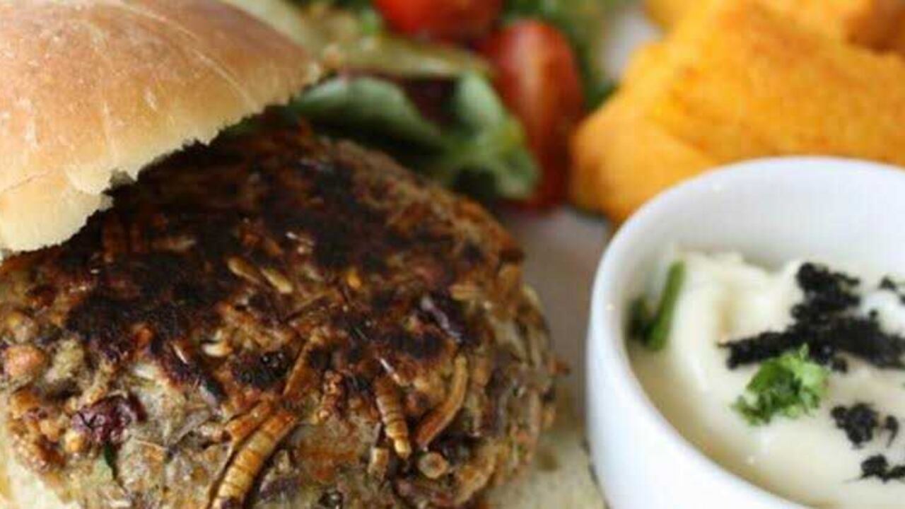 Comida hecha a base de insectos ¿se anima?