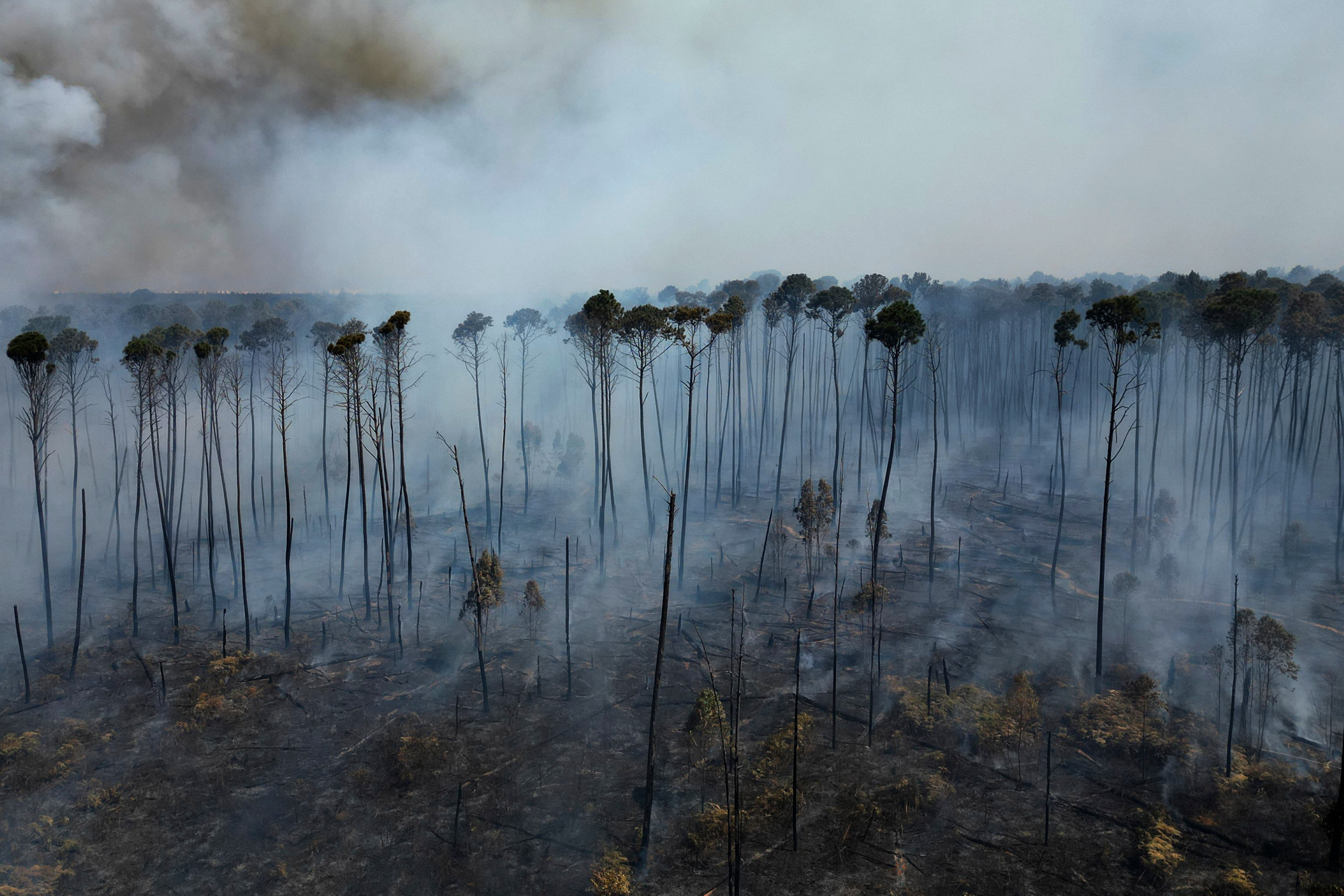 En la imagen, vista de la nube de humo provocada por los incendios que avanzan por el Bosque Nacional de Brasilia, en Brasil, en plena temporada seca, el 3 de septiembre de 2024. (AP Foto/Eraldo Peres)