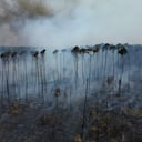 En la imagen, vista de la nube de humo provocada por los incendios que avanzan por el Bosque Nacional de Brasilia, en Brasil, en plena temporada seca, el 3 de septiembre de 2024. (AP Foto/Eraldo Peres)