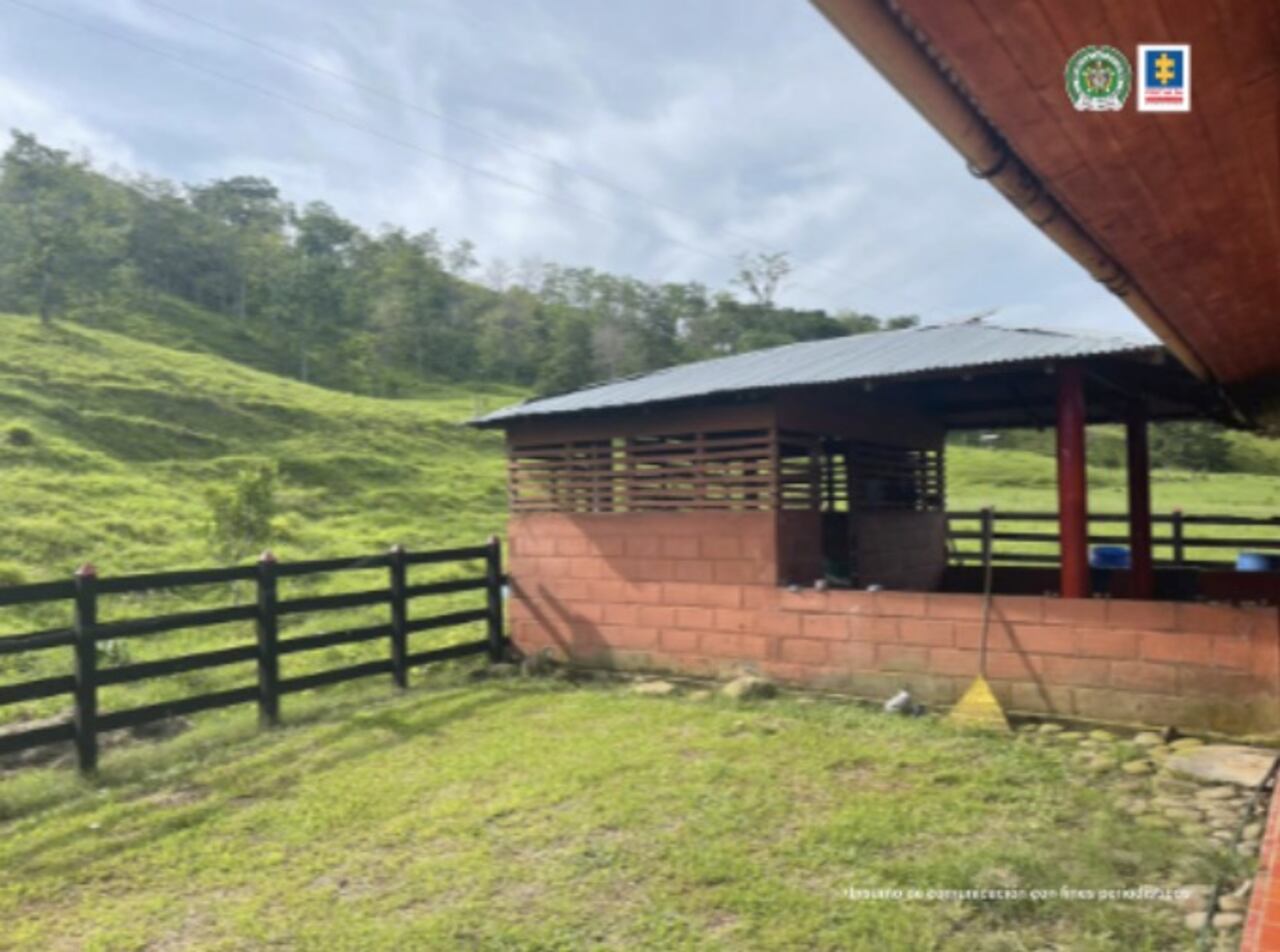 Estos son los bienes que le quitaron a 'La Flaca', expareja de 'Otoniel', en los que vivía en medio de excéntricos lujos