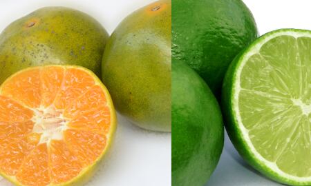 Beneficios de la naranja y el limón