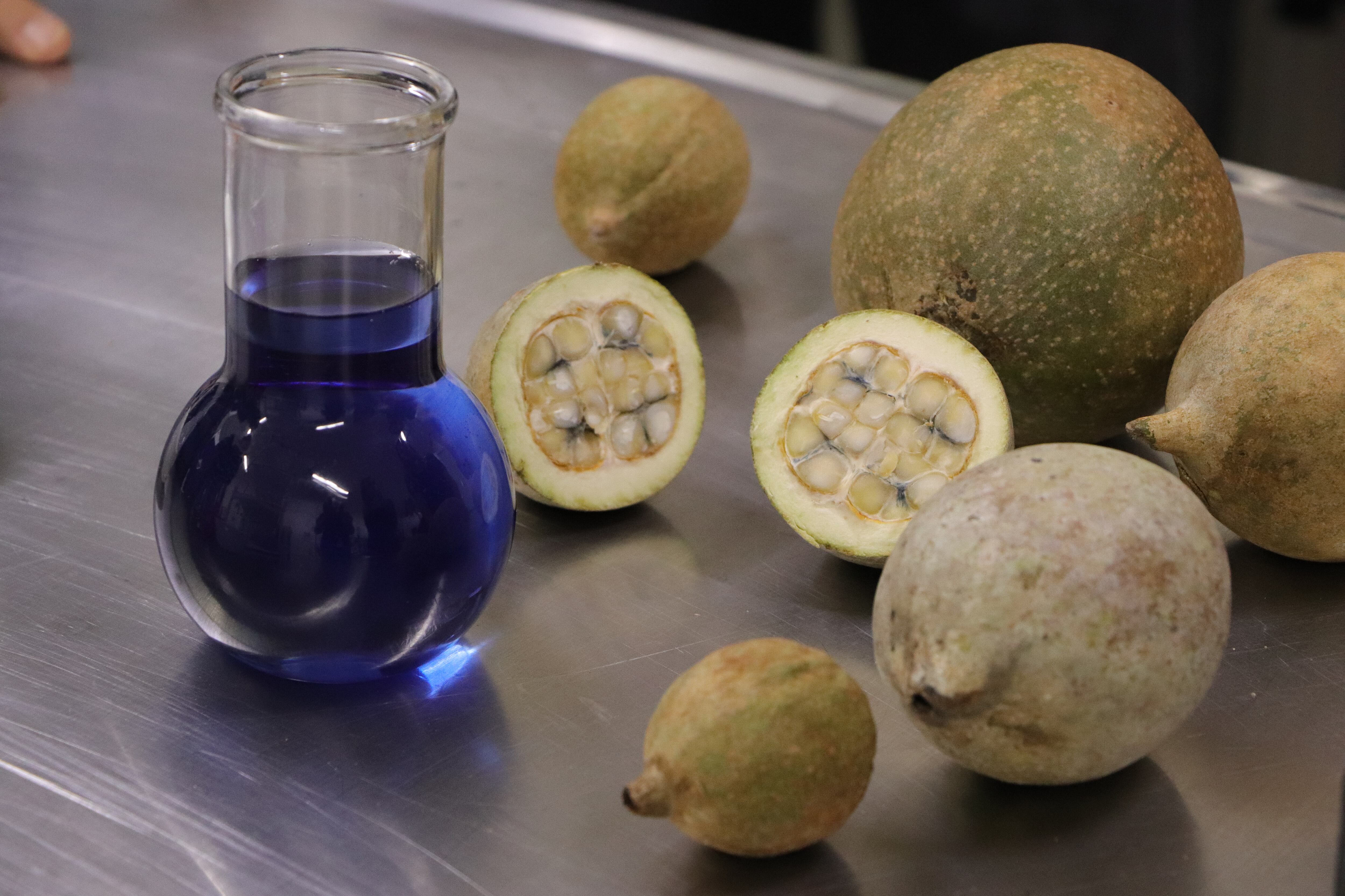 Científicas colombianas impulsan el azul de jagua hacia mercados globales