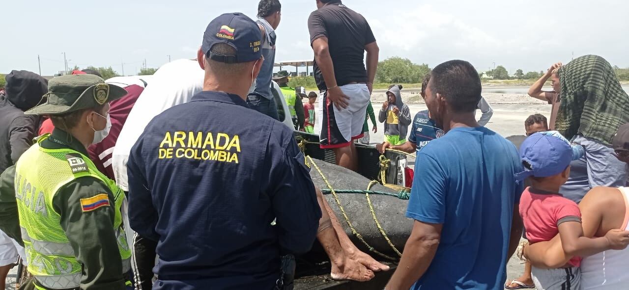 Operativo para salvar a manatí en Tasajera