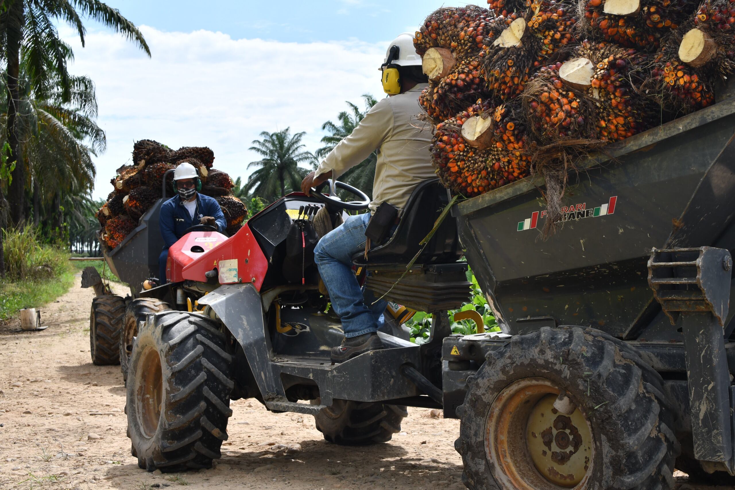 La industria de los biocombustibles genera más de 90.000 empleos en sus procesos productivos y apalanca 470.000 en las cadenas agroindustriales de la caña de azúcar y la palma de aceite.