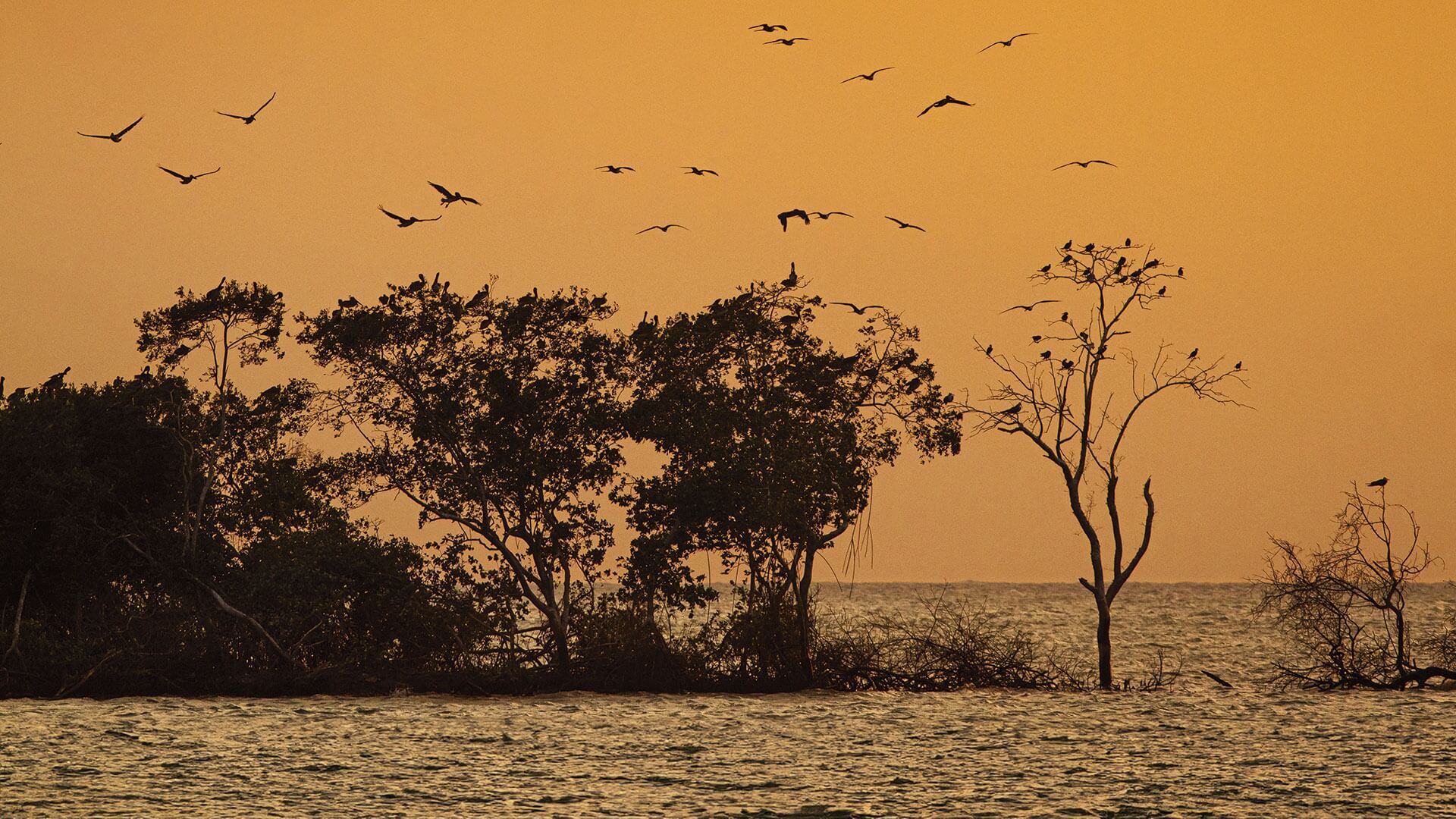 Semana le toma el pulso a Cartagena y Bolívar: así avanza la región sostenibilidad